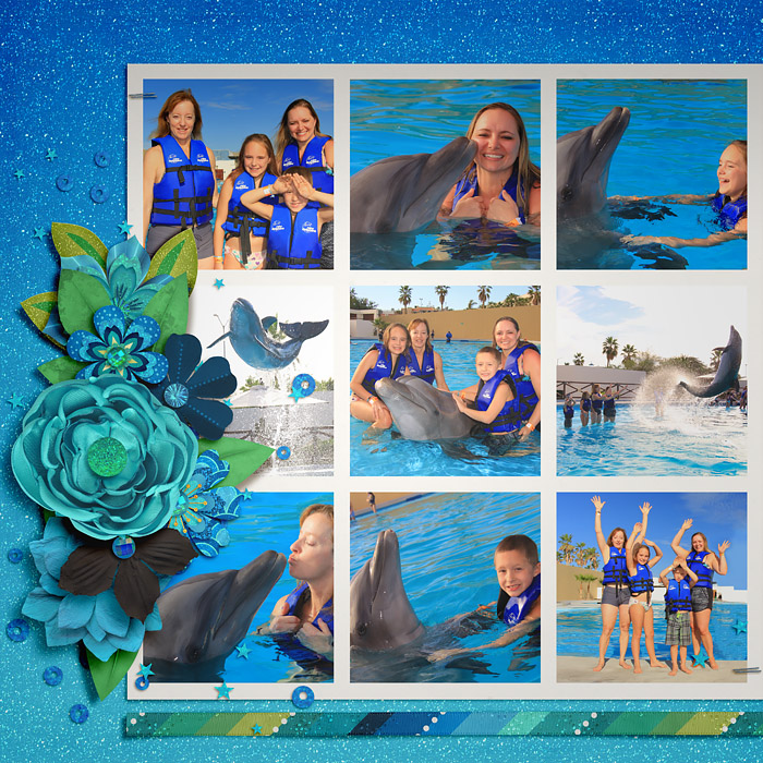Dolphin Adventure pg1