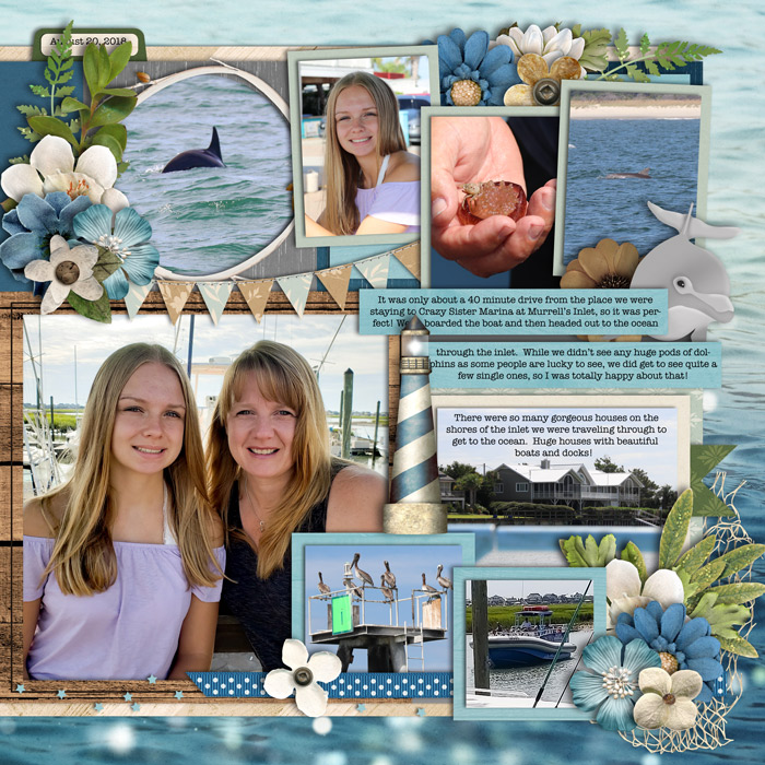 Dolphin Cruise (right side)