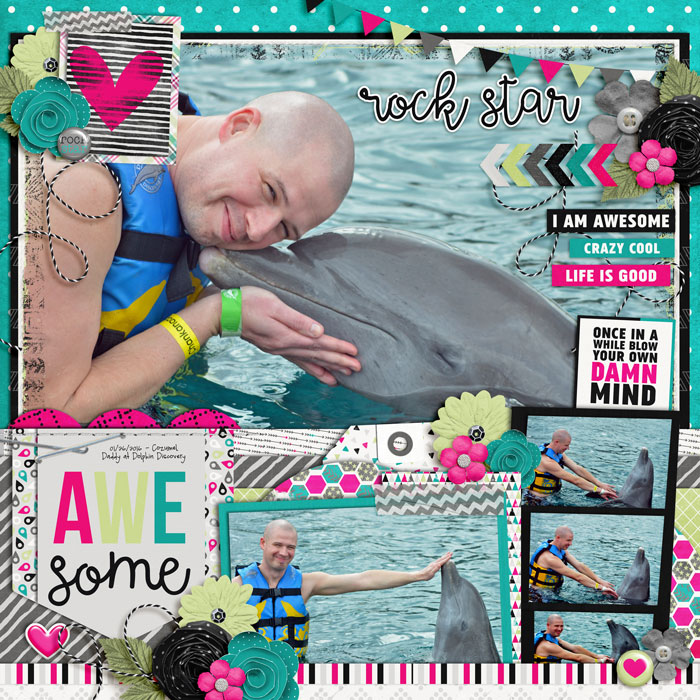 Dolphin Discovery III