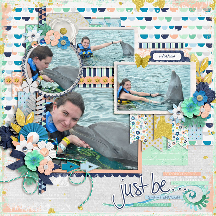 Dolphin Encounter