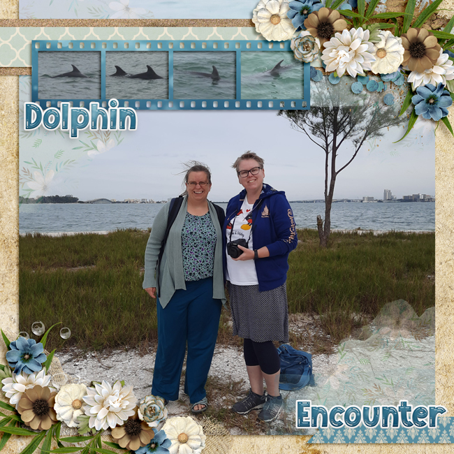 Dolphin Encounter