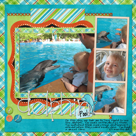 Dolphin Pool