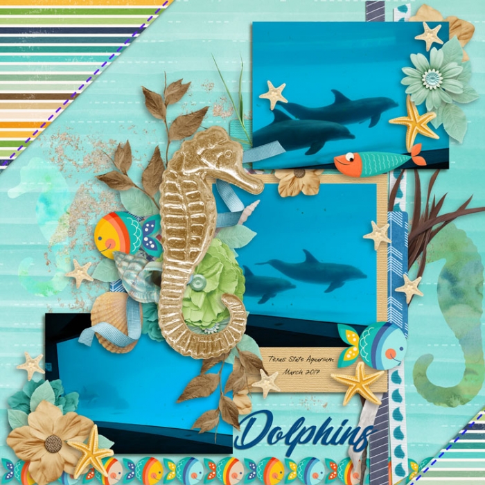 Dolphins