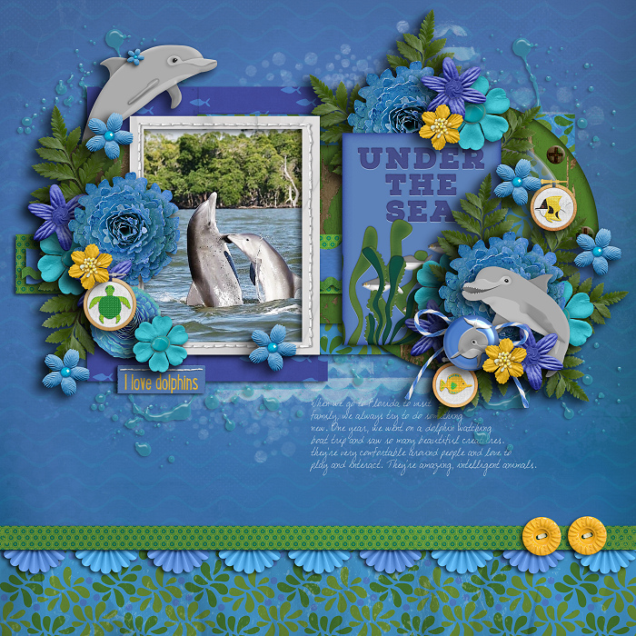Dolphins