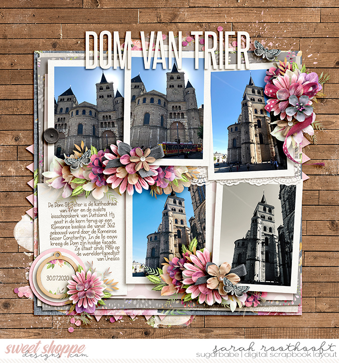 Dom Van Trier