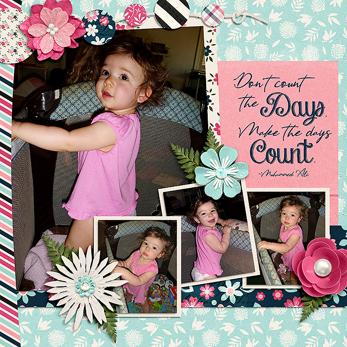 Don't Count the Days