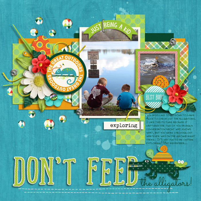 Don't Feed the Alligators