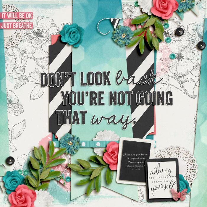 Don't Look Back