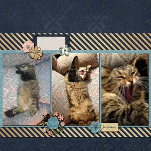 Don't Wake Me Up