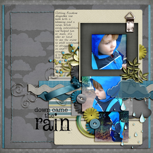Down Came The Rain