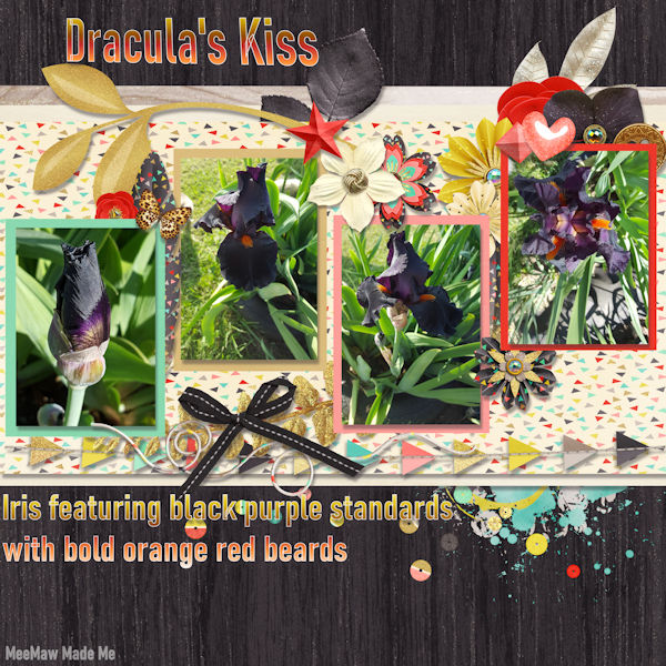 Draculas Kiss