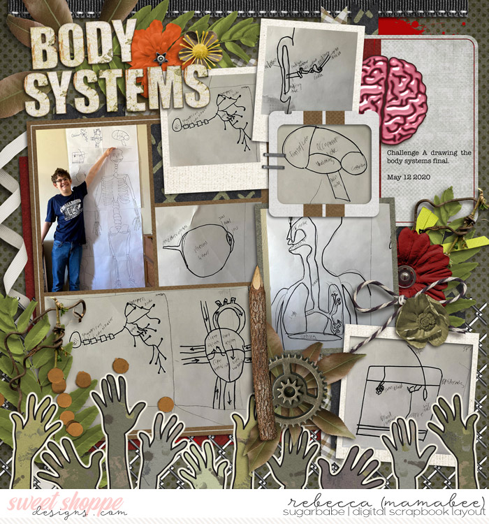 Drawing the Body Systems