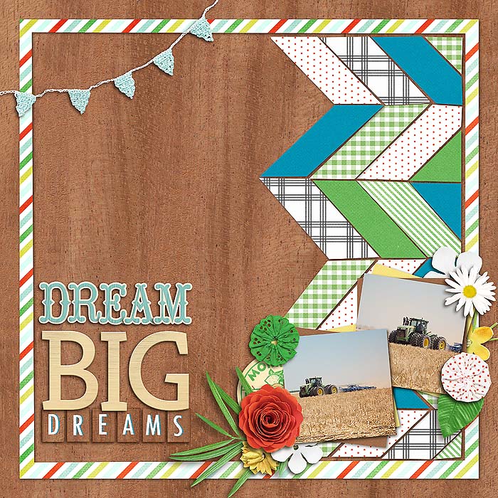 Dream Big Dreams (right)