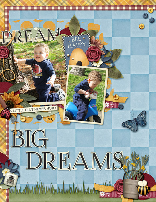Dream Big Dreams