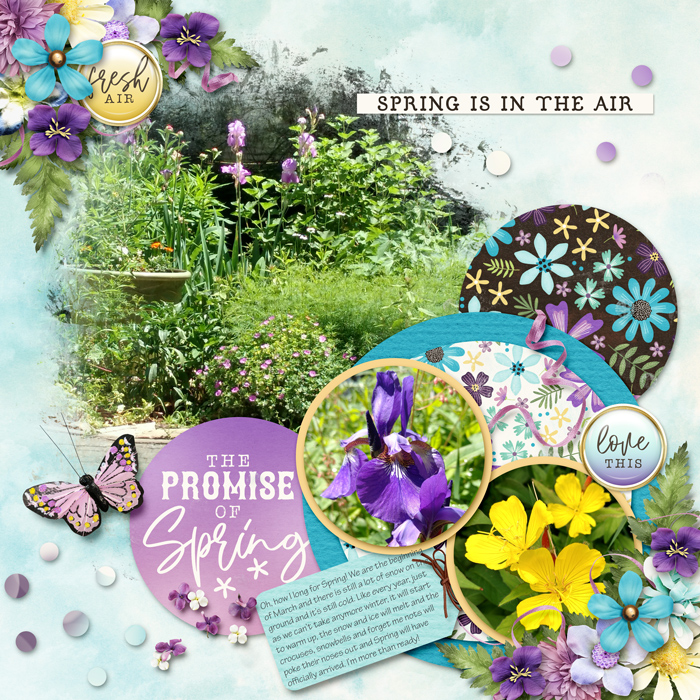 Dreaming of Spring