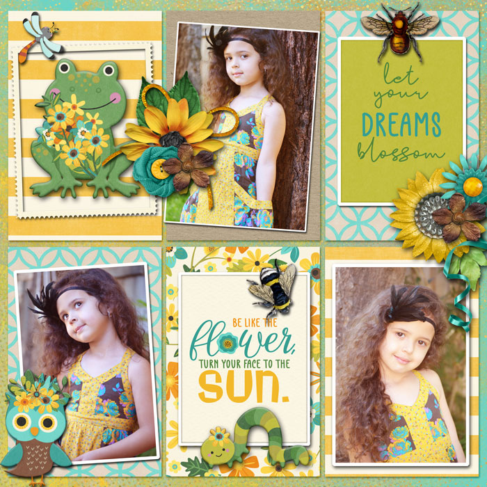 Dreams Blossom