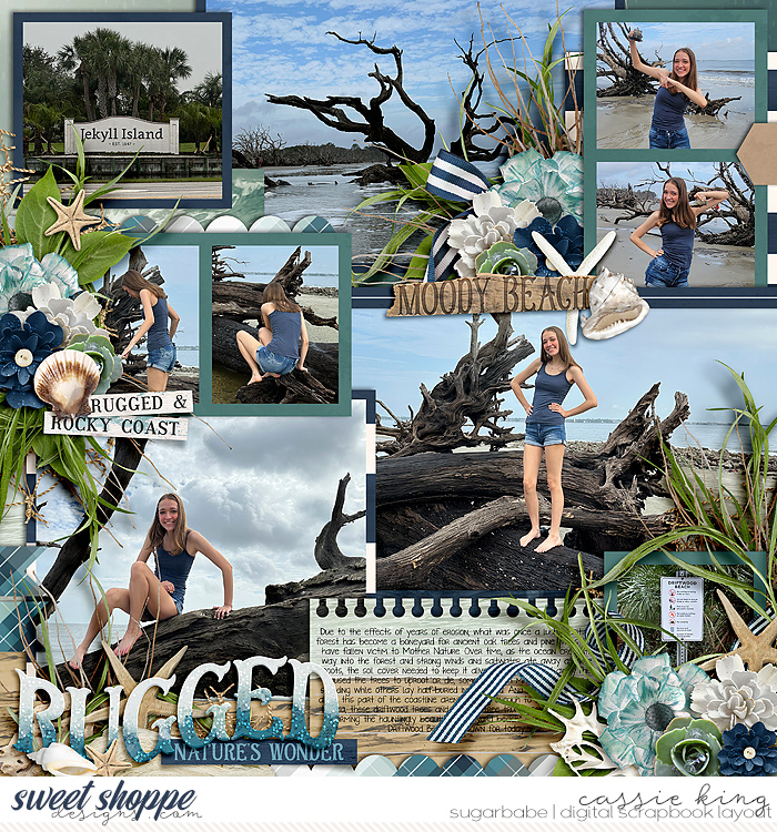 Driftwood Beach
