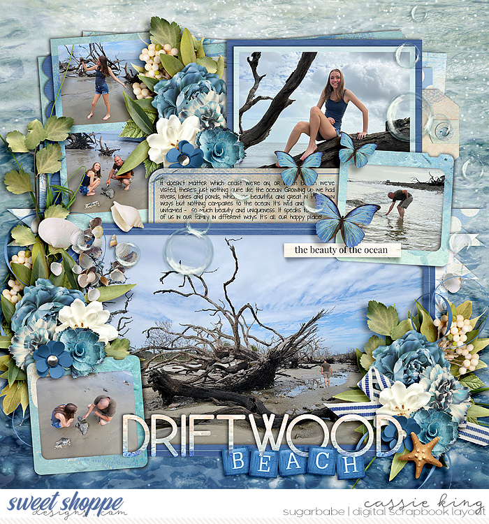 Driftwood Beach