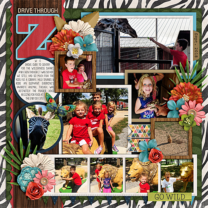 Drive Through Zoo