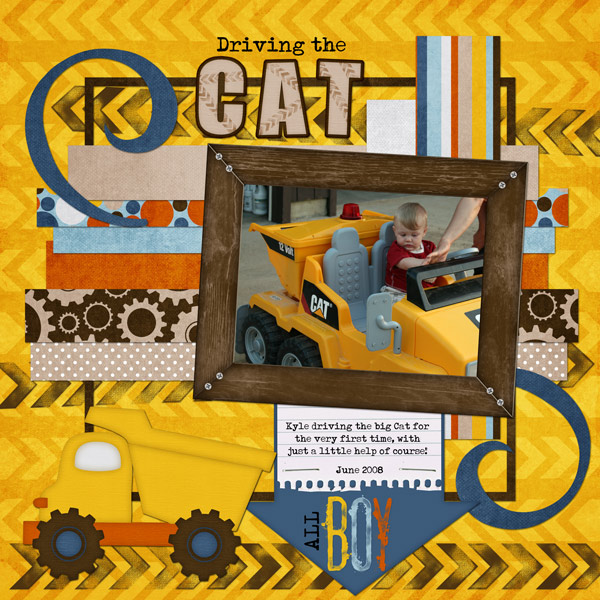 Driving the Cat