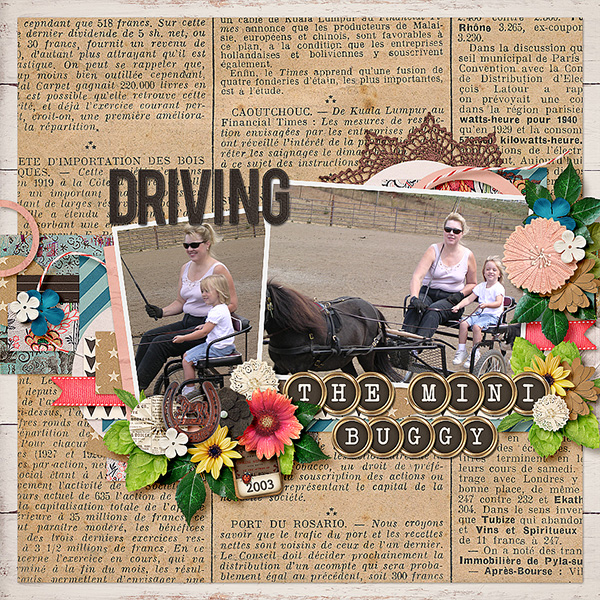 Driving the Mini Buggy