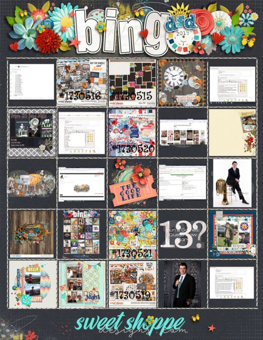 DSD Bingo Card 2019