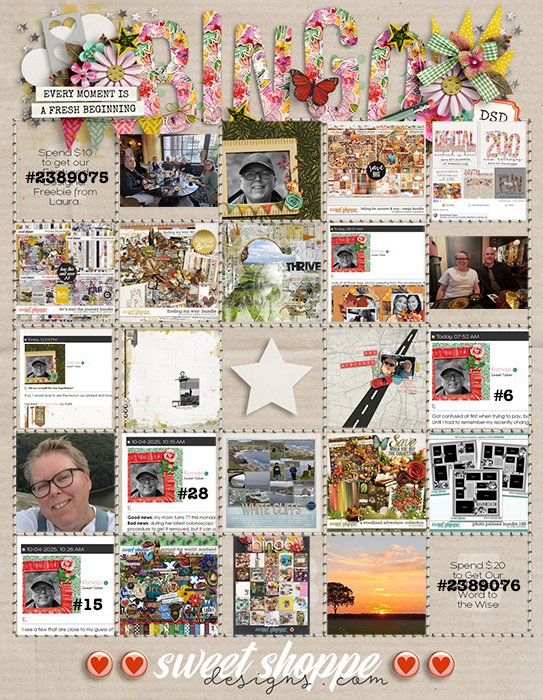 DSD Bingo Card Romajo