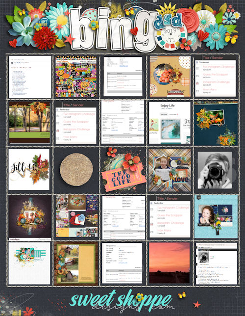 DSD Bingo Card