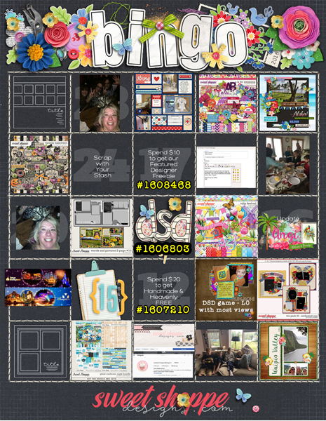 DSD Bingo