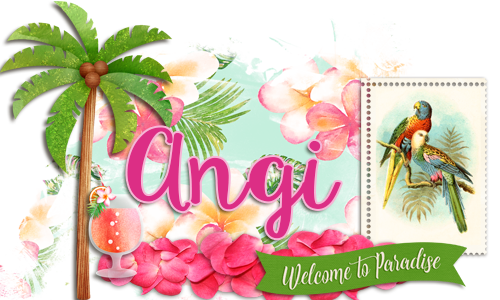 DSD Siggy challenge