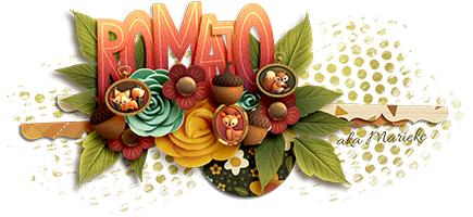 DSD Siggy Romajo