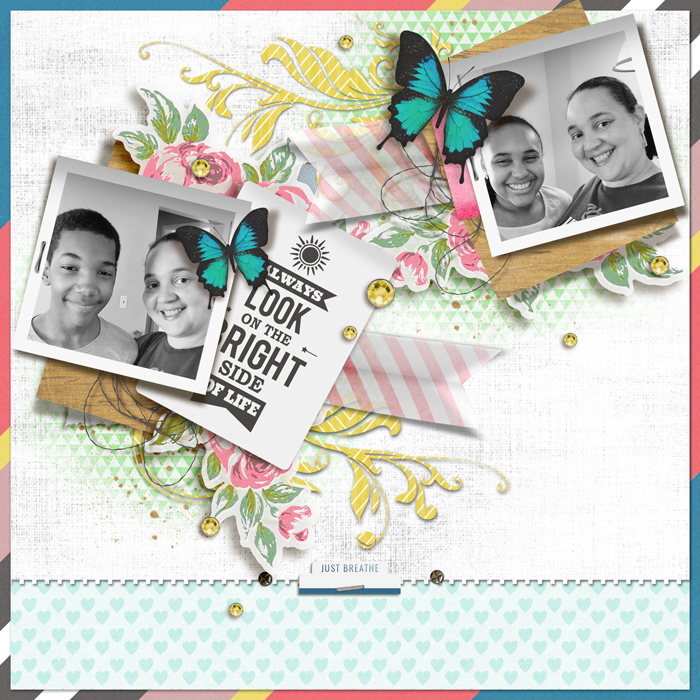 DSD Template