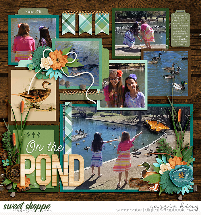Duck Pond