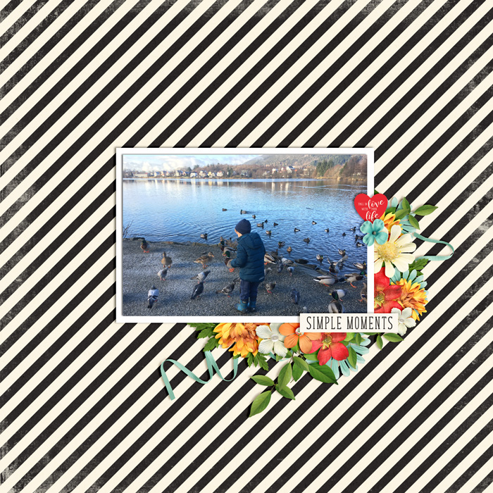 Ducks