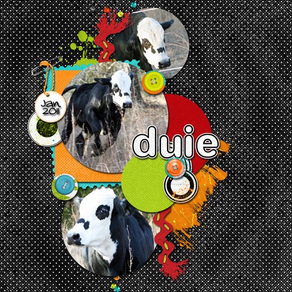 Duie - Jan. 2011