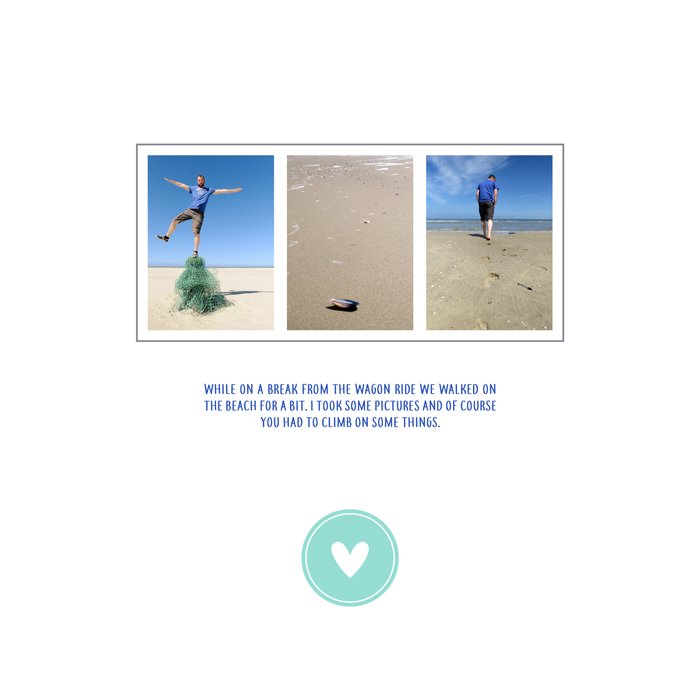Dutch Wadden Islands: Terschelling #08 (2016)
