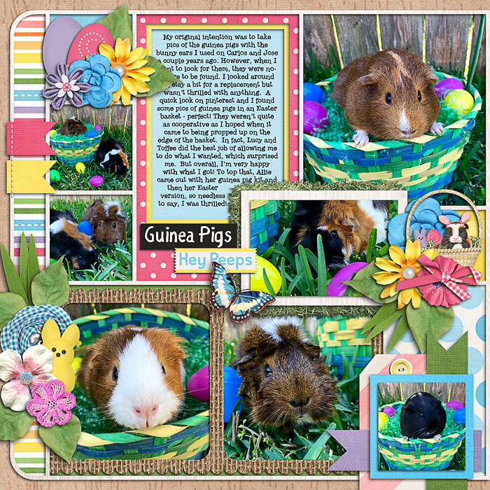 Easter guinea pigs, left