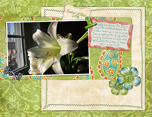 Easter Lilies 3/08