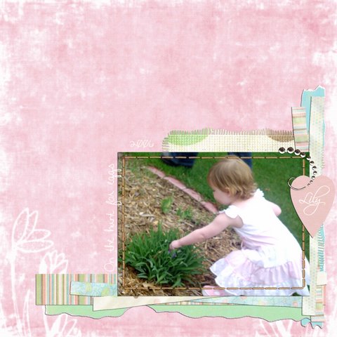 Easter Lily KNL
