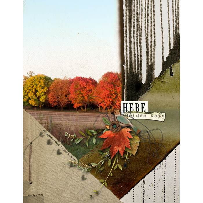 Echoes of Autumn
