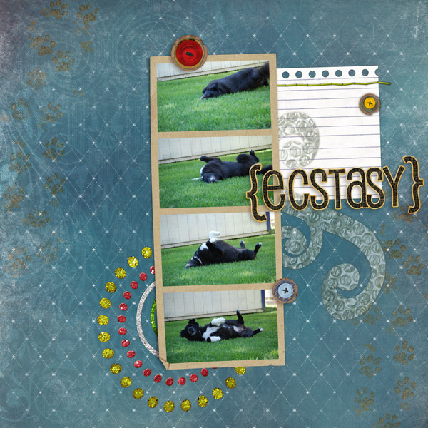 {Ecstasy}