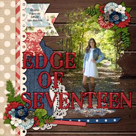 Edge of seventeen