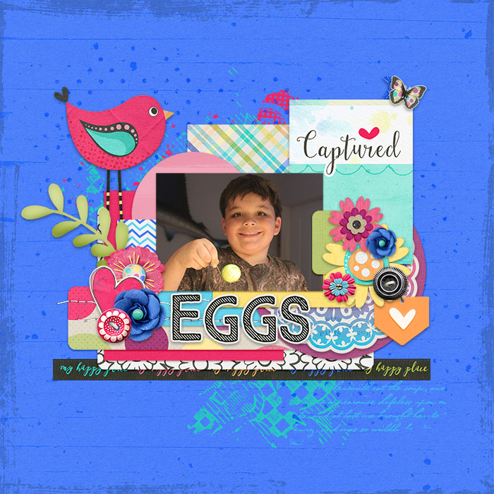Eggs