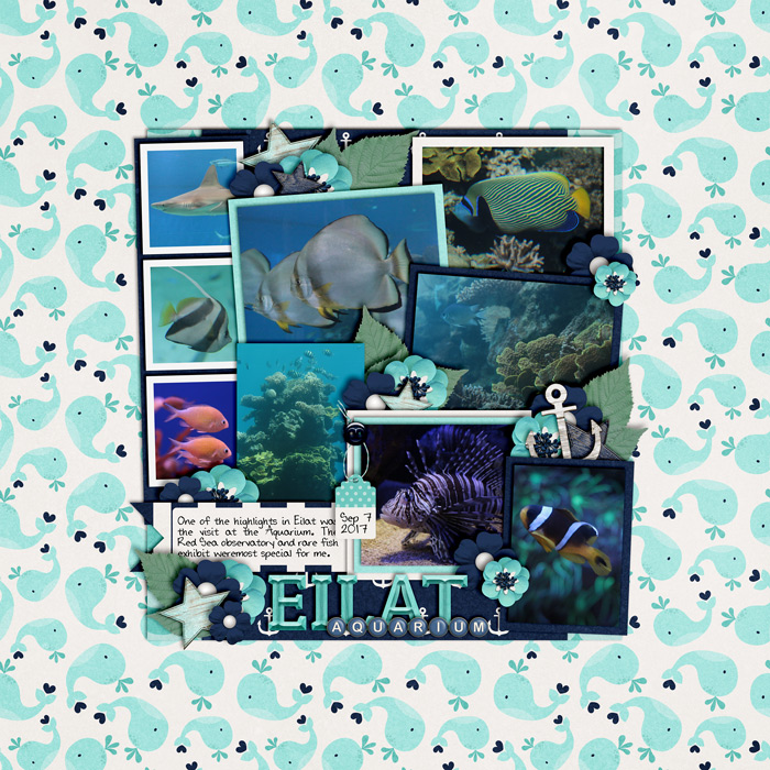 Eilat Aquarium
