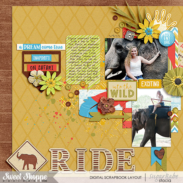 Elephant Ride