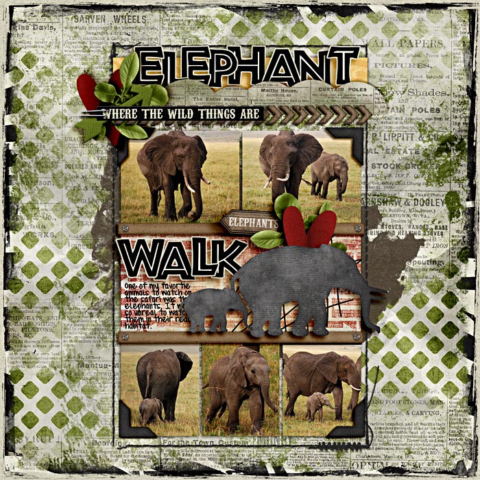 Elephant Walk