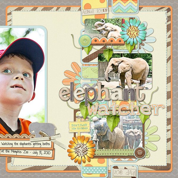 Elephant Watcher
