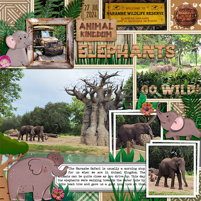 Elephants | SAT Shadowbox Aug 14