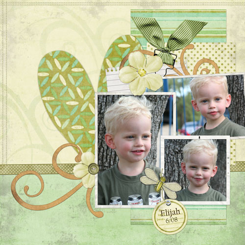 Eli - Little Bug