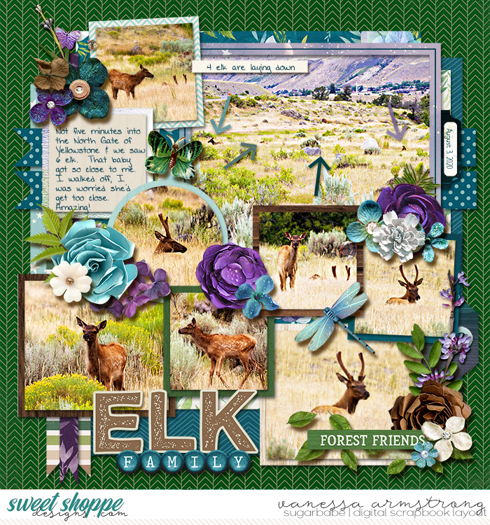 Elk Family